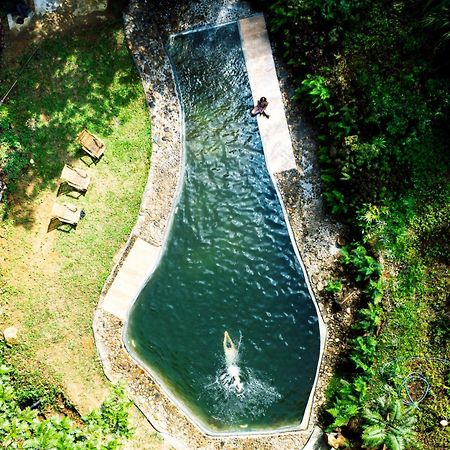 Natural Mystic Sanctuary Deniyaya Luaran gambar