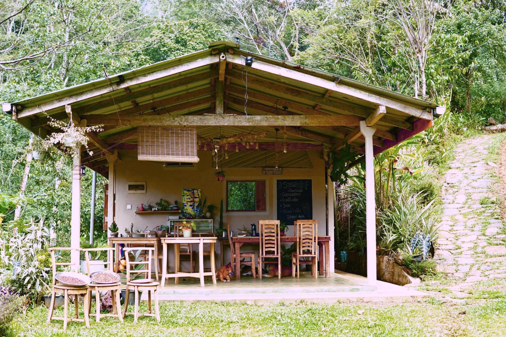 Natural Mystic Sanctuary Deniyaya Luaran gambar
