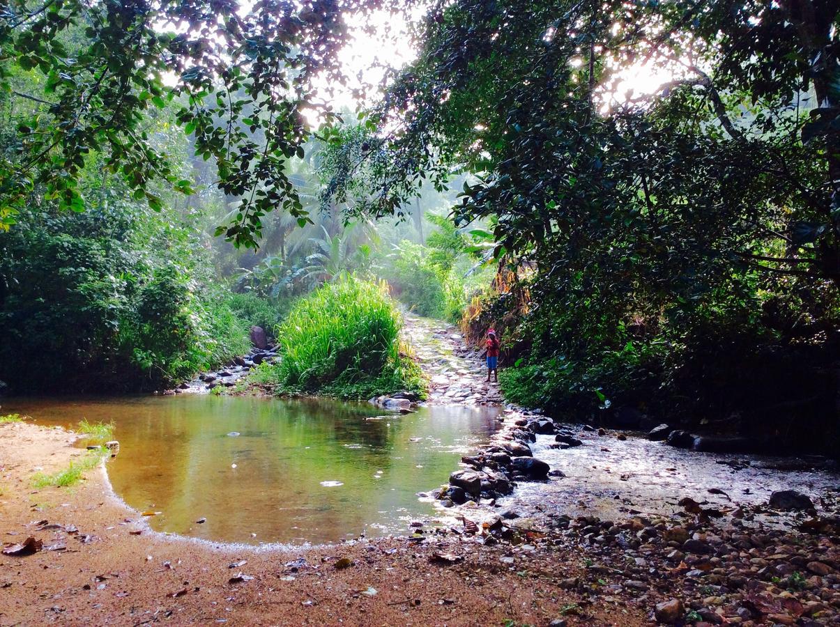 Natural Mystic Sanctuary Deniyaya Luaran gambar