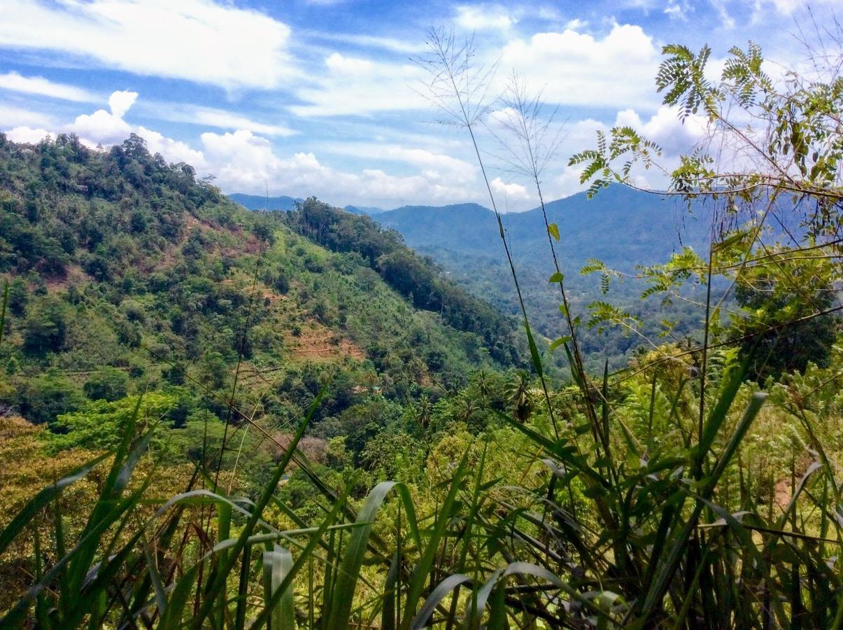 Natural Mystic Sanctuary Deniyaya Luaran gambar