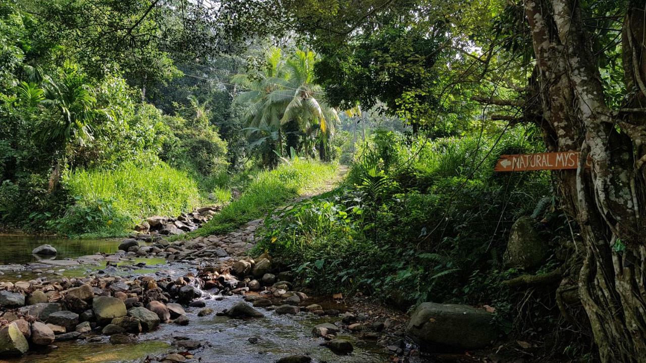 Natural Mystic Sanctuary Deniyaya Luaran gambar