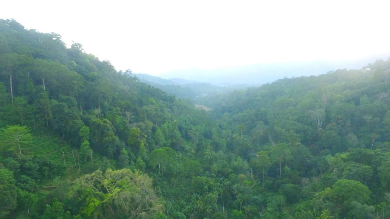 Natural Mystic Sanctuary Deniyaya Luaran gambar